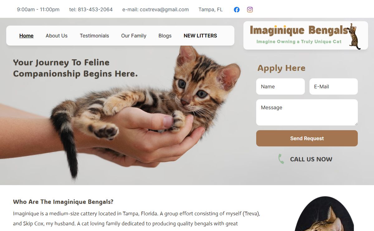 Imaginique Bengals
