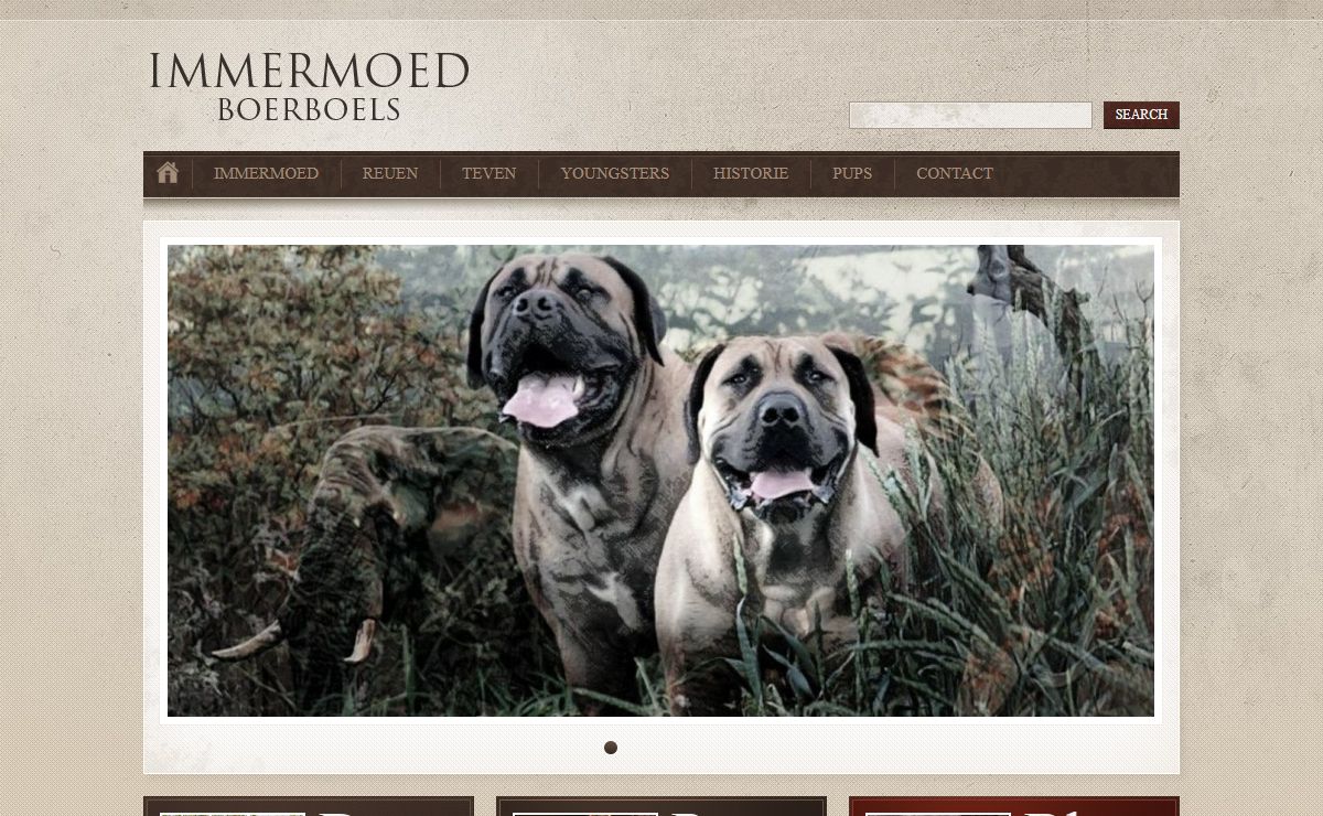 Immermoed Boerboels | Boerboel Fokker van mooie en vooral gezonde Boerboel Pups!