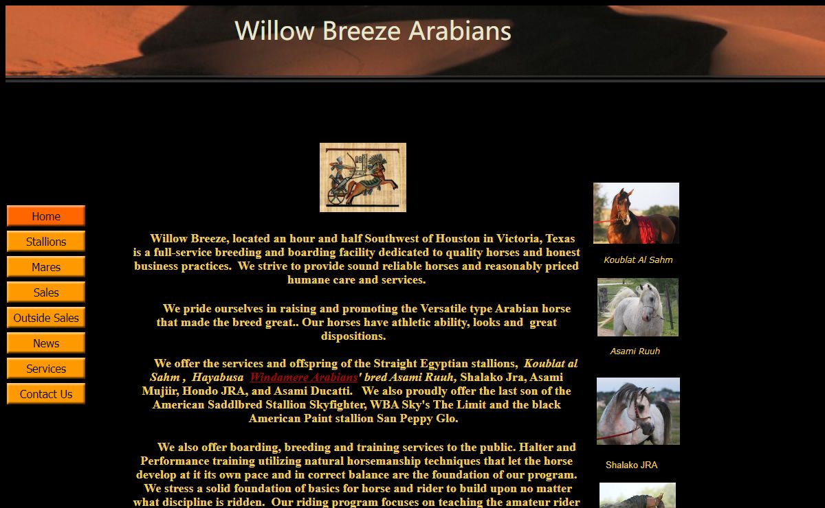 Willow Breeze Arabians