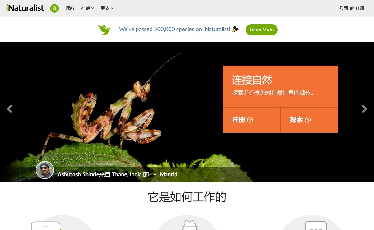 一个自然爱好者的社区 · iNaturalist