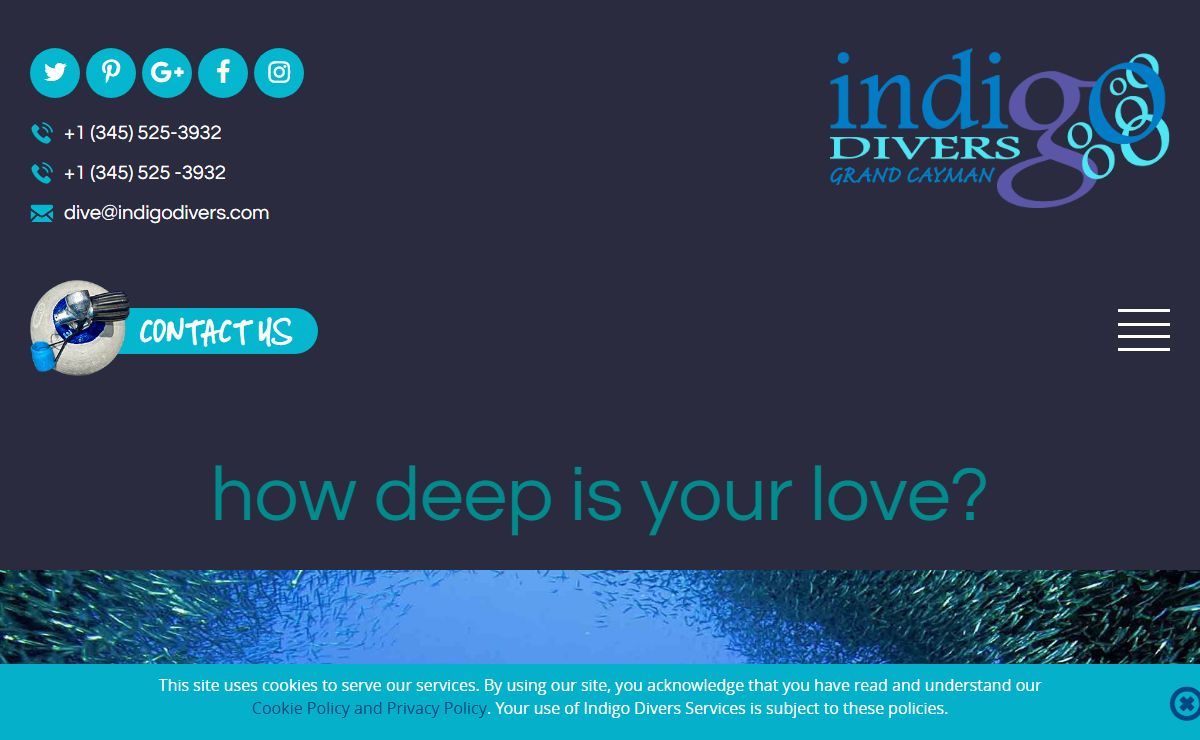 Scuba Diving Tours and Lessons in Grand Cayman - Indigo Divers