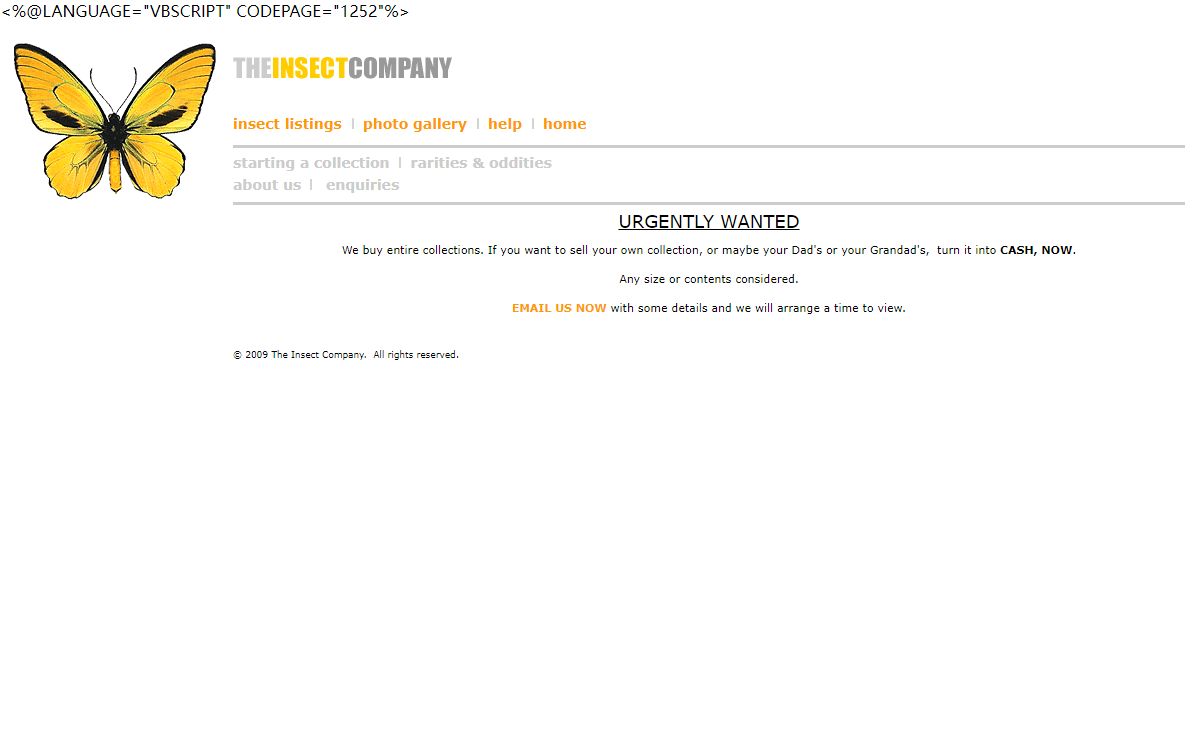 The Insect Company