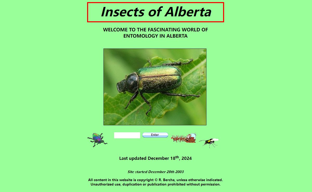 Insects of Alberta