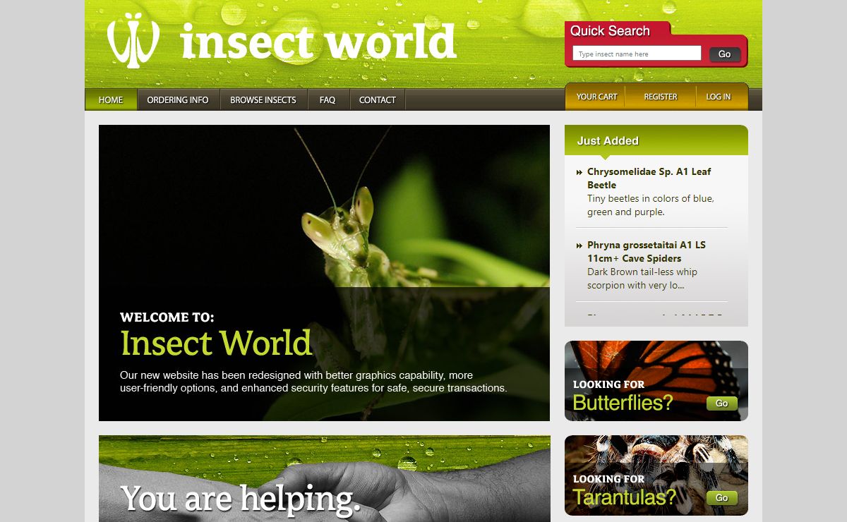 Insect World