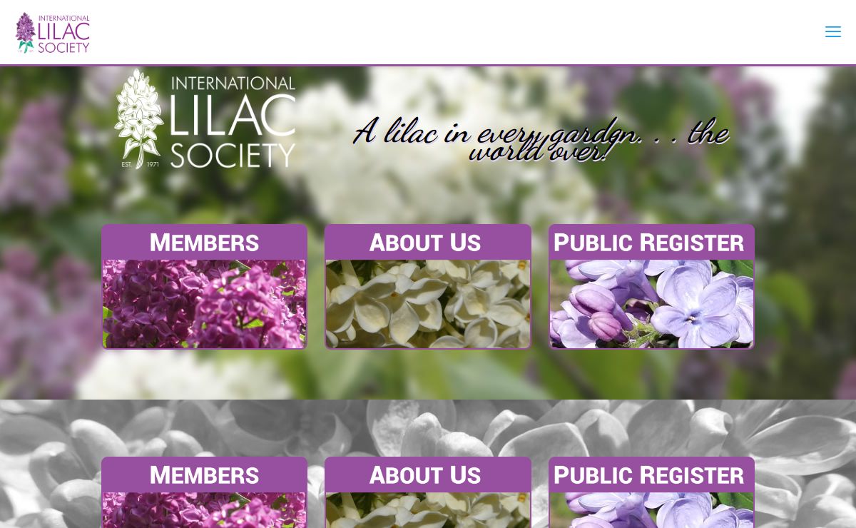 International Lilac Society - International Lilac Society