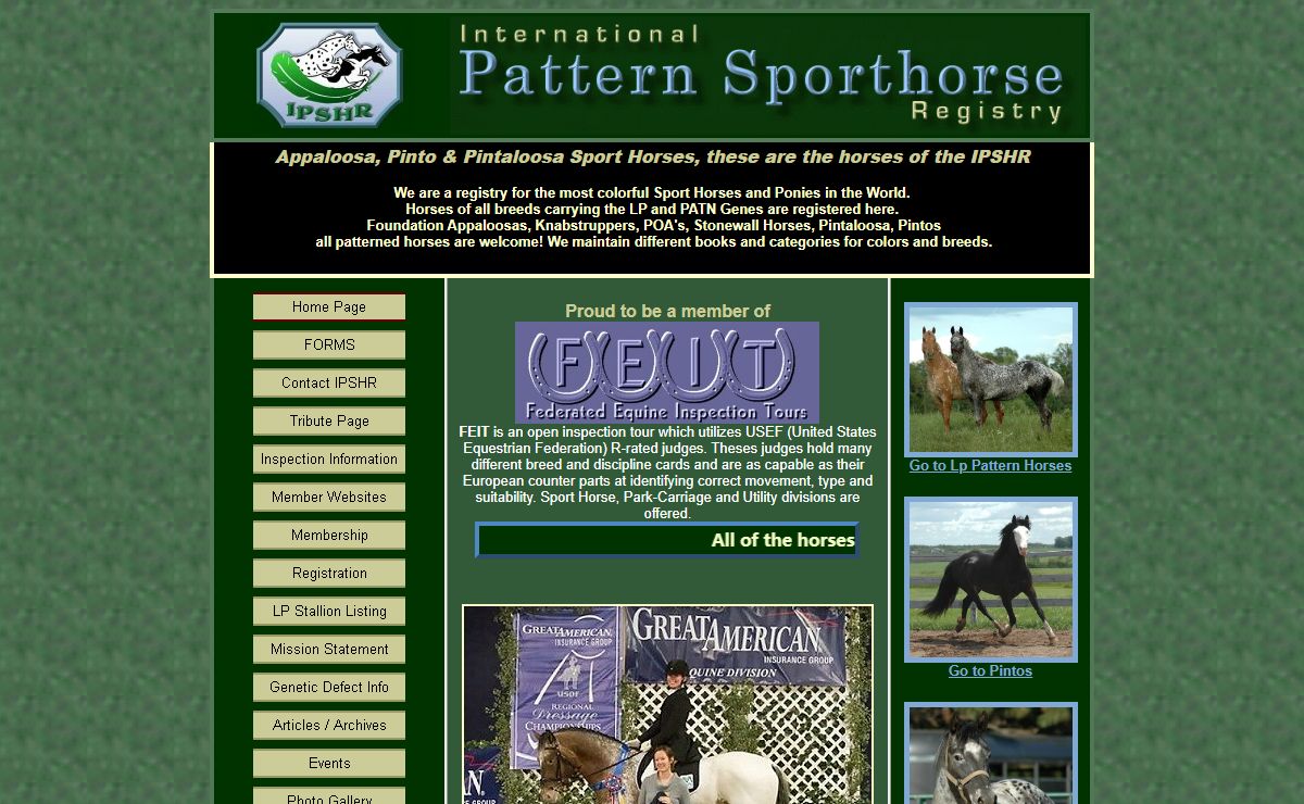 International Pattern Sport Horses Official Website