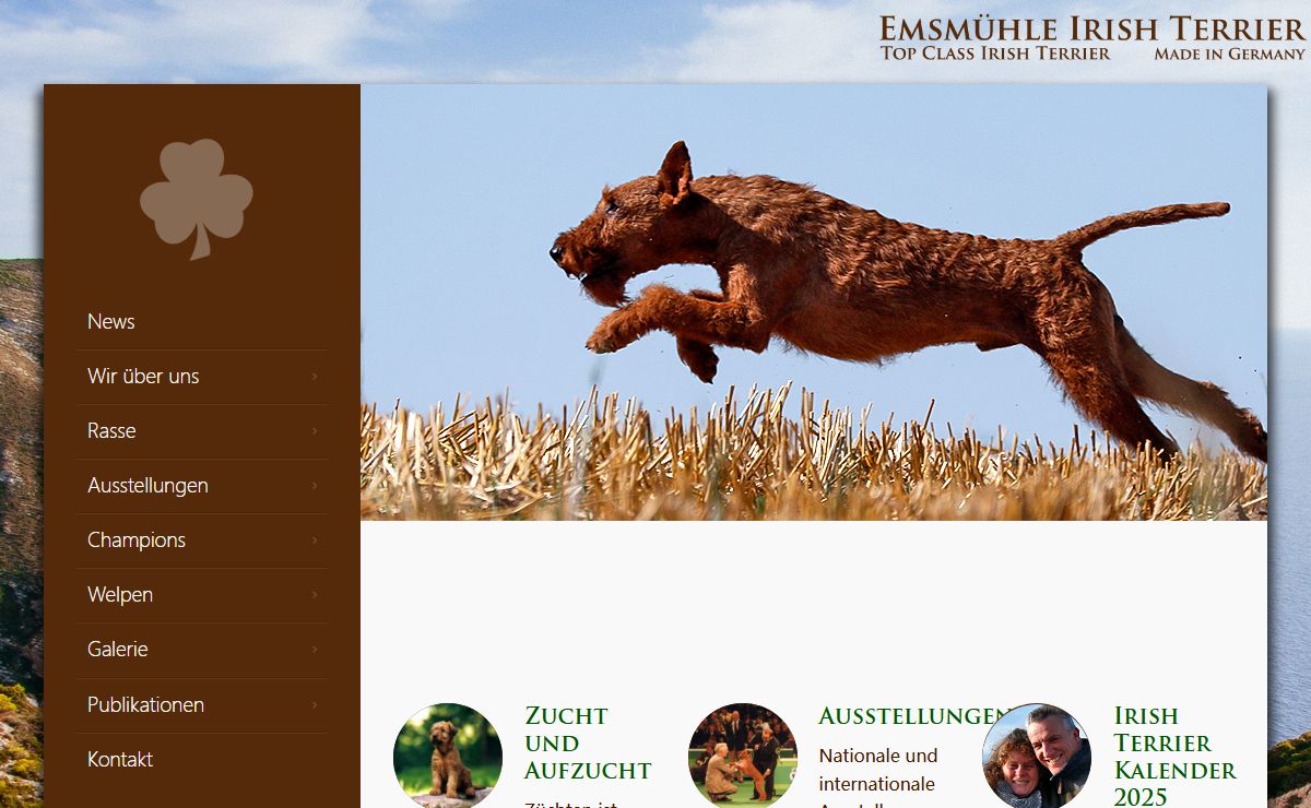 Irish Terrier von der Emsmühle | Top Class Irish Terrier – Made in Germany