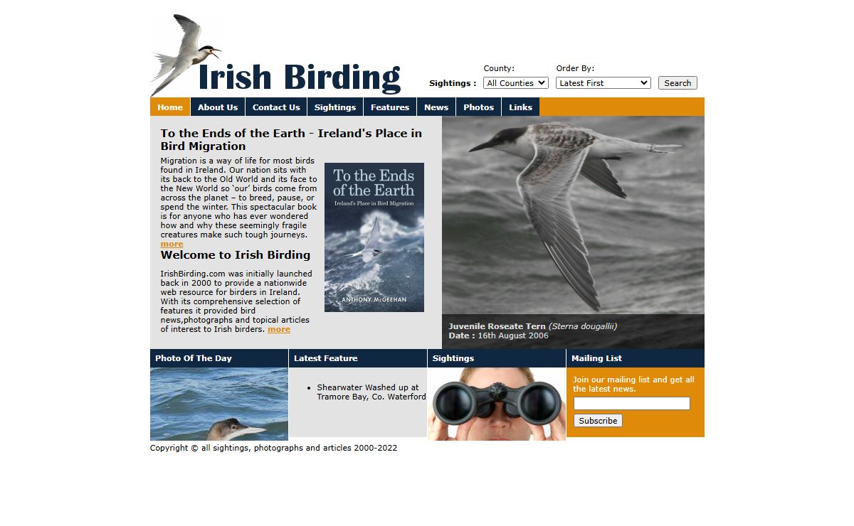 Irish Birding