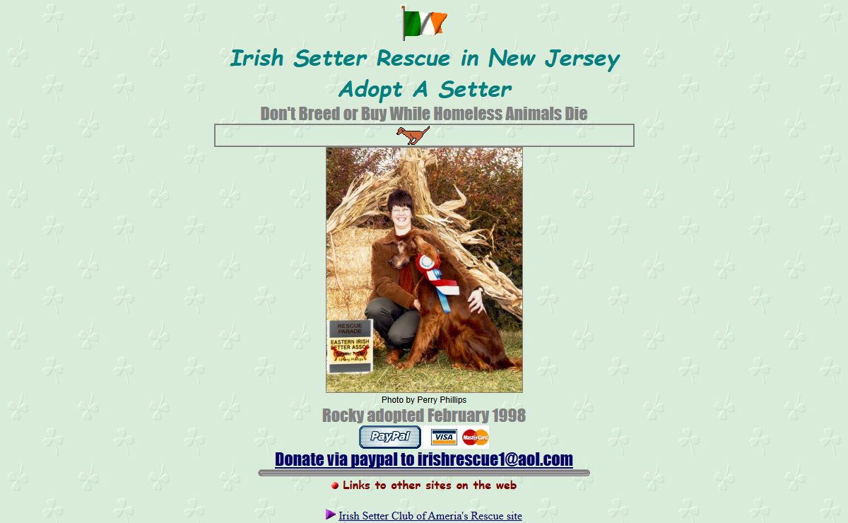 Irish Setter Rescue in NJ