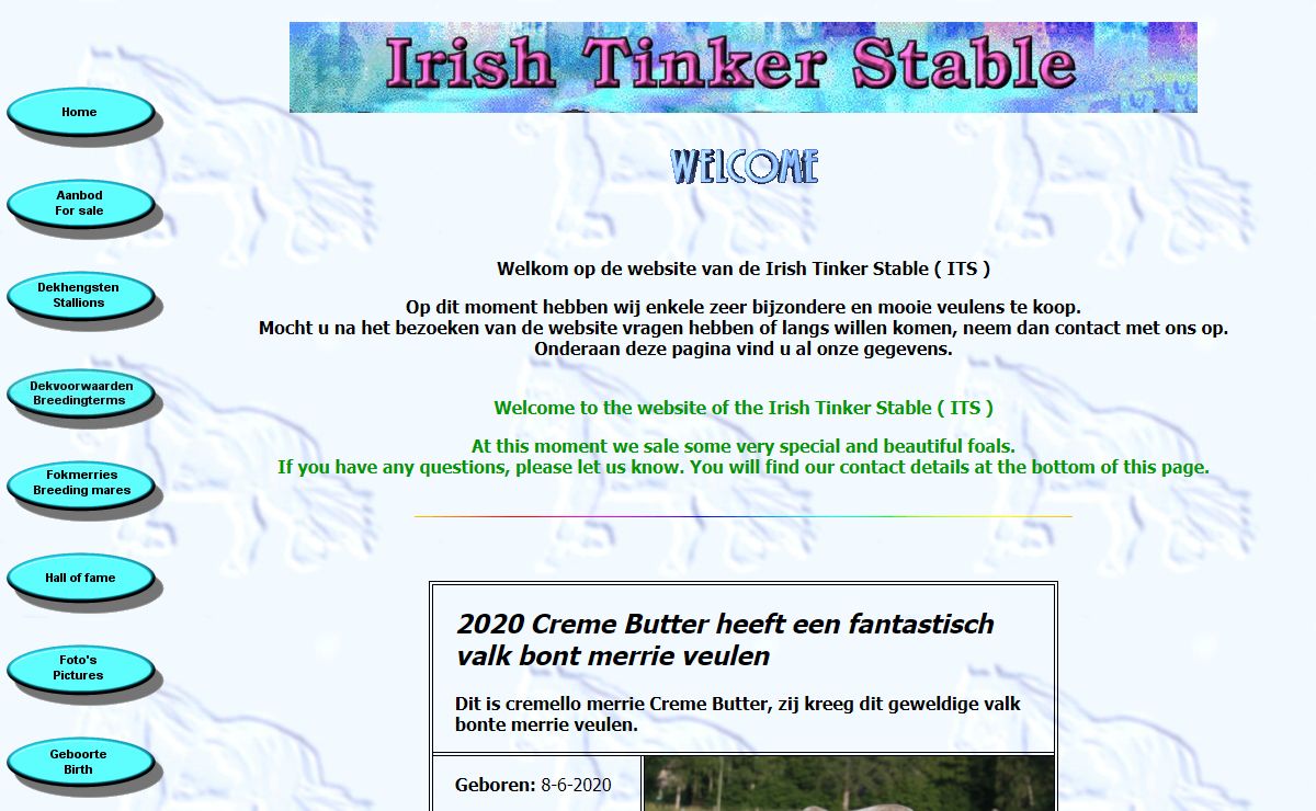 Irish Tinker Stable