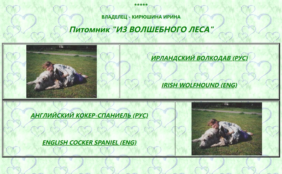Ирландский волкодав. Английский кокер-спаниель. Питомник "ИЗ ВОЛШЕБНОГО ЛЕСА"/ Irish Wolfhound. English Cocker Spaniel