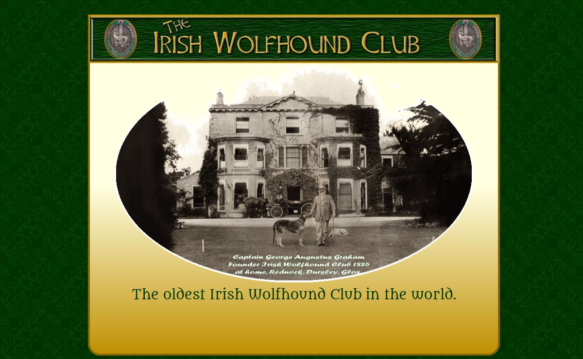 THE IRISH WOLFHOUND CLUB