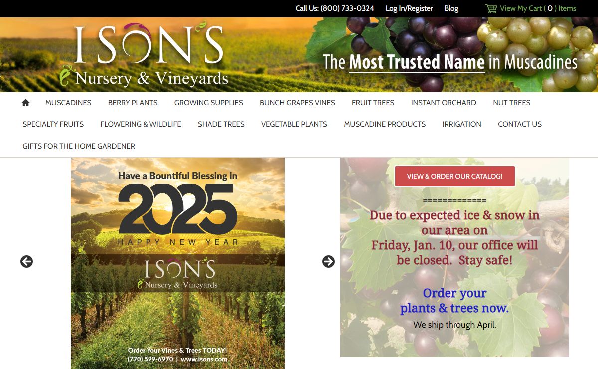Ison’s Nursery & Vineyard | The Most Trusted Name in Muscadines