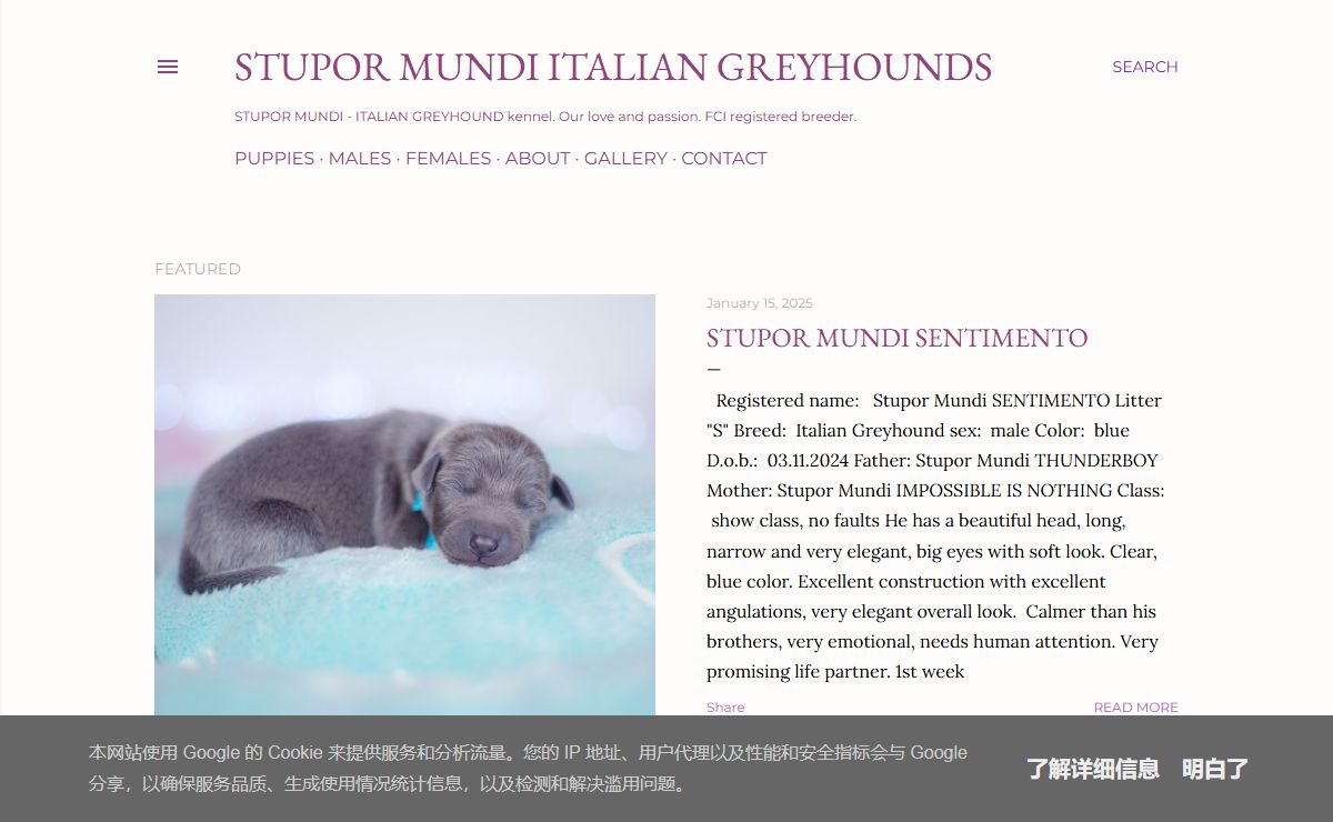 STUPOR MUNDI Italian Greyhounds