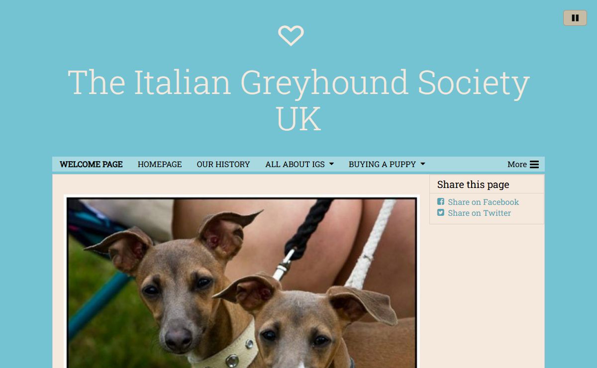 WELCOME PAGE - www.italiangreyhoundsocietyuk.com