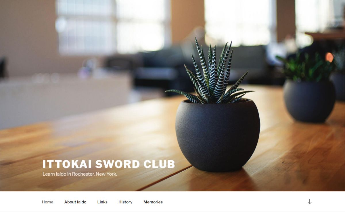 Ittokai Sword Club – Learn Iaido in Rochester, New York.