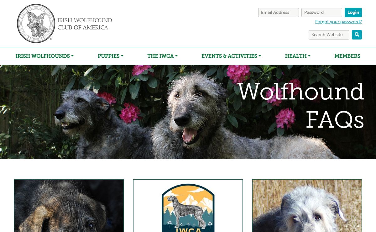 Irish Wolfhound Club of America