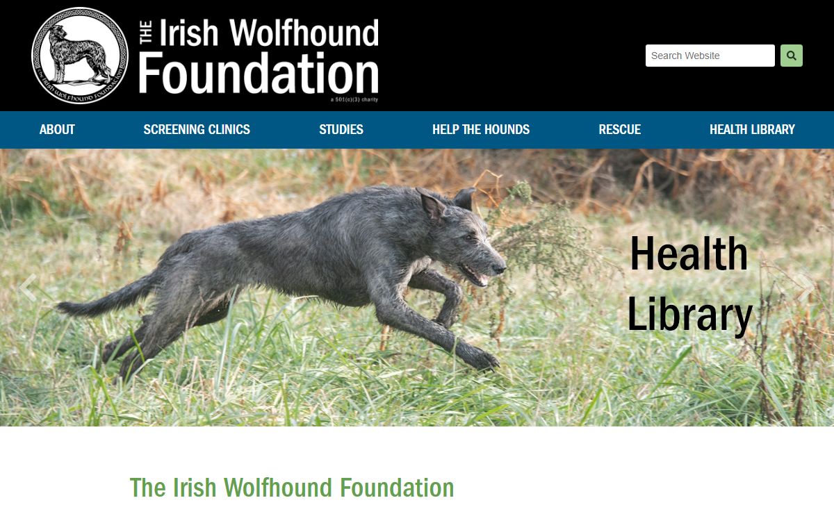 Irish Wolfhound Research, Education, and Rescue - The Irish Wolfhound Foundation