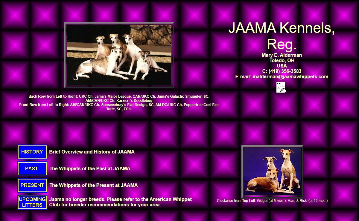 Whippets at Jaama