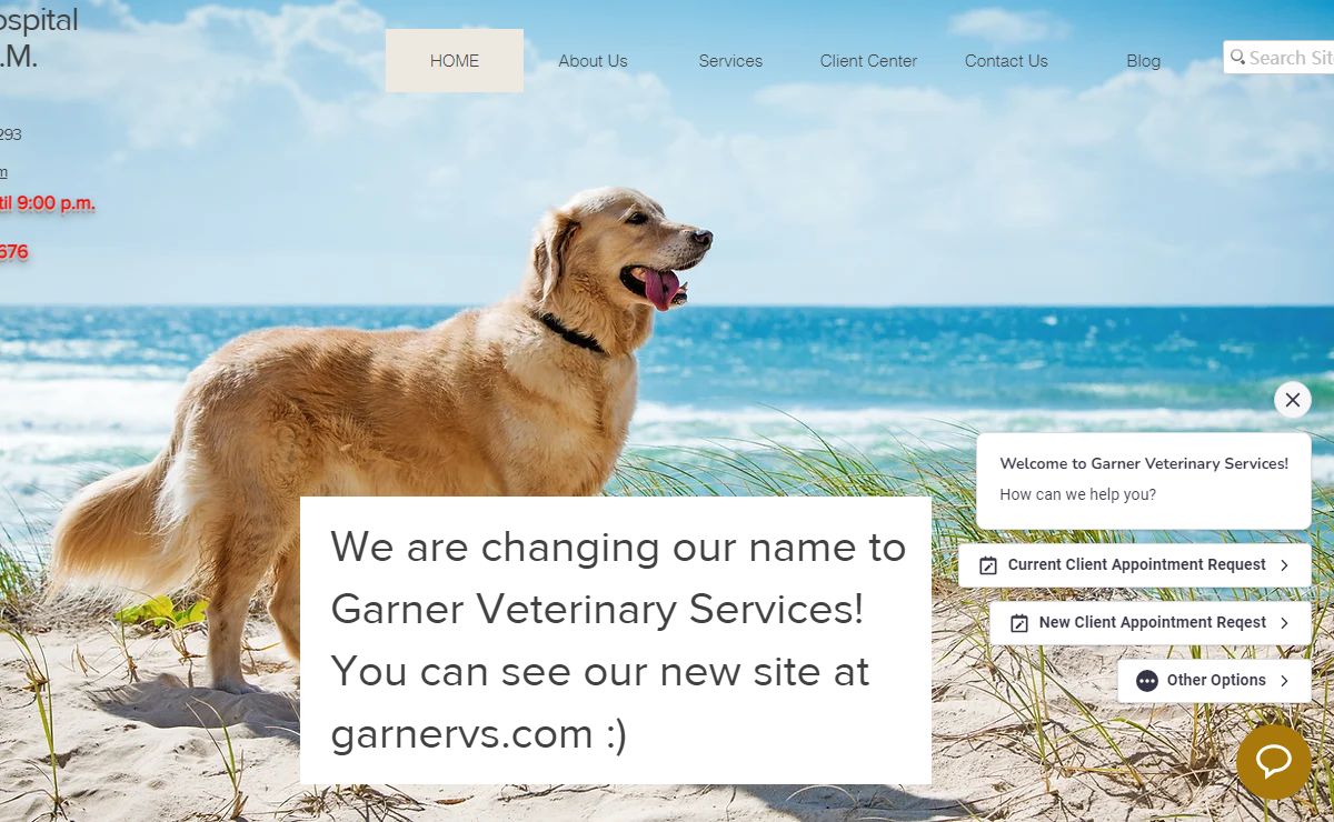 Veterinarian Venice Fl | Jacaranda Animal Hospital | United States