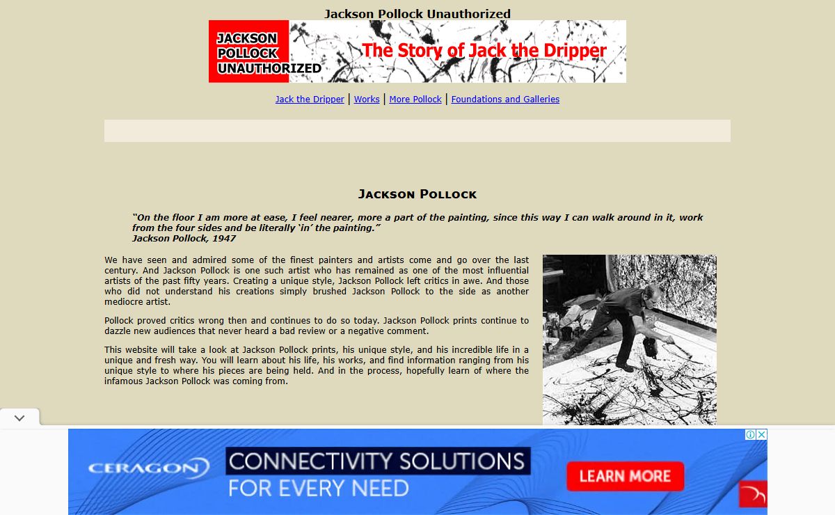 Jackson Pollock Unauthorized