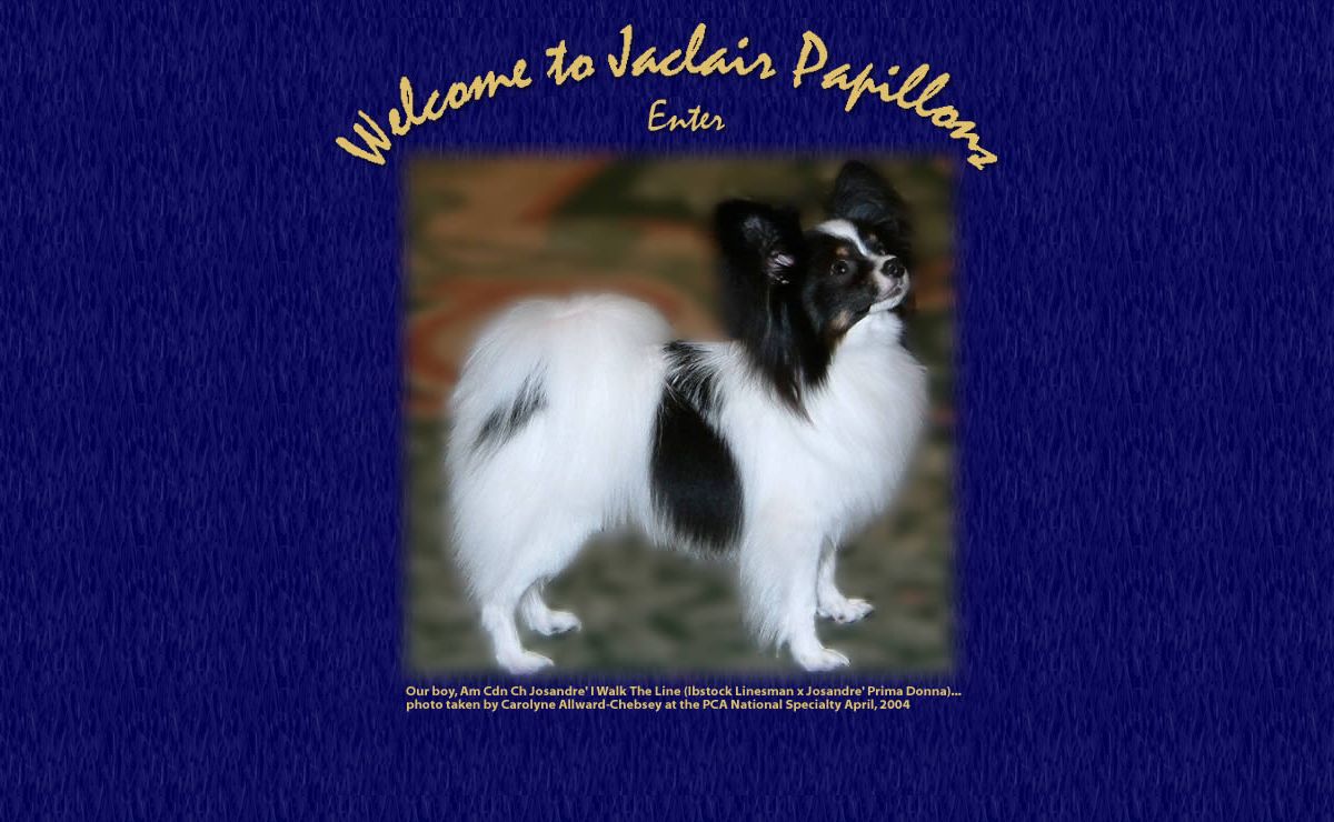 Welcome to Jaclair Papillons. Click Enter!