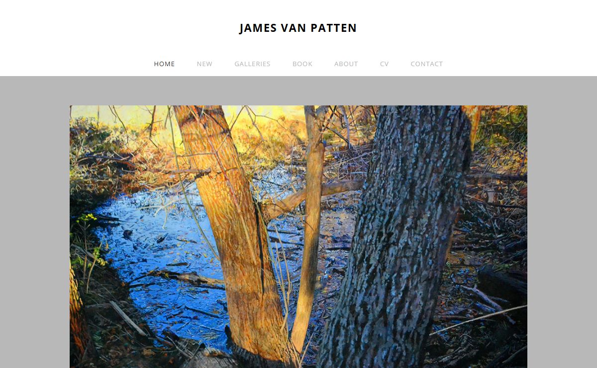 JAMES VAN PATTEN - James Van Patten photorealist artist