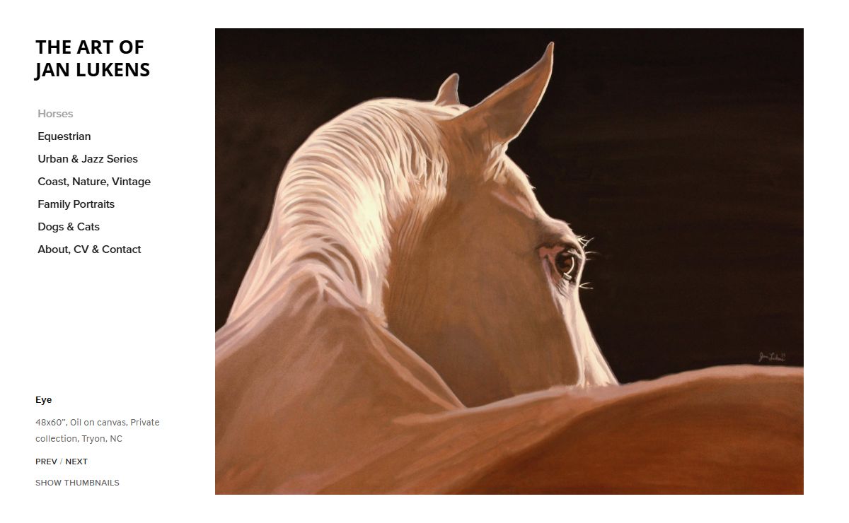 THE ART OF JAN LUKENS