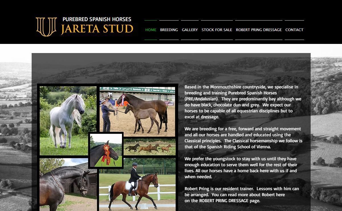 Jareta Andalusians PRE Stud