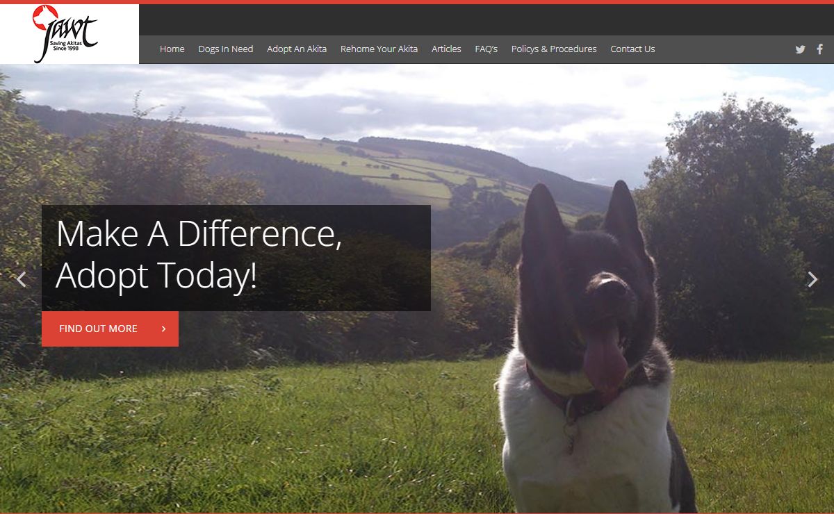 The Japanese Akita Welfare Trust | UK Akita Rescue