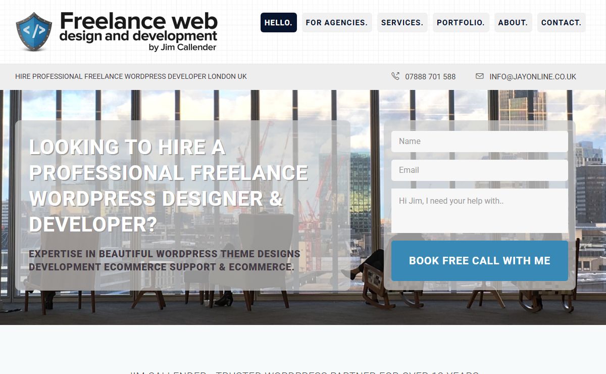 Freelance WordPress Website Developer Designer Ecommerce Hire Expert London UK