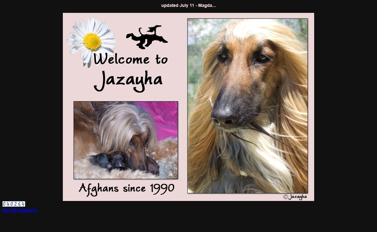Welcome to Jazayha Afghan Hounds...