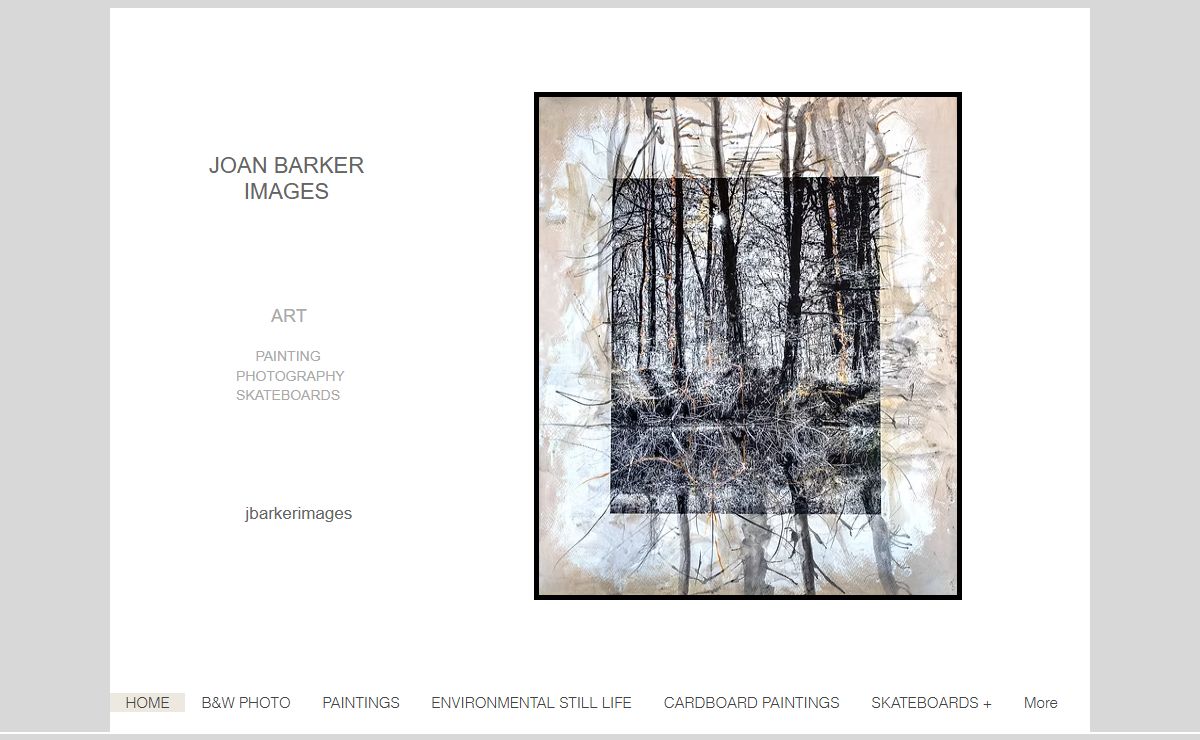 Art Portfolio | Jbarkerimages