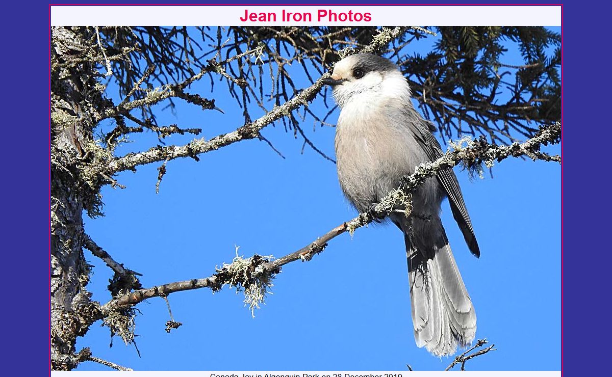 Jean Iron