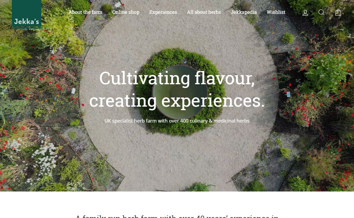 Culinary herbs | Plants, seeds, herbal teas & experiences | Jekka's