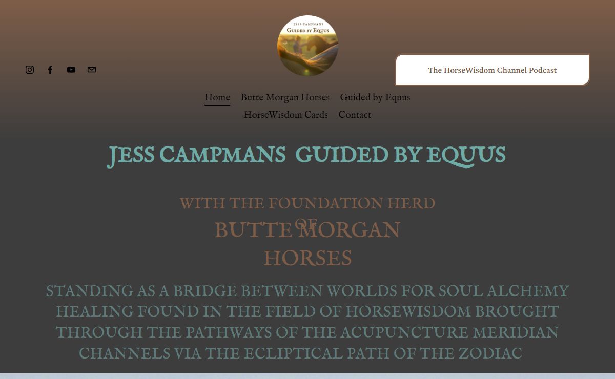 HorseWisdom Insights GUIDED BY EQUUS