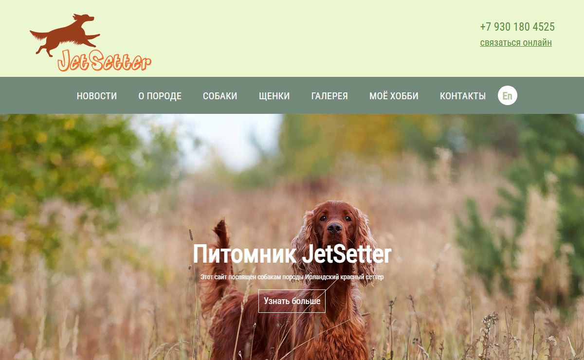 Питомник ирландских сеттеров | Jetsetter