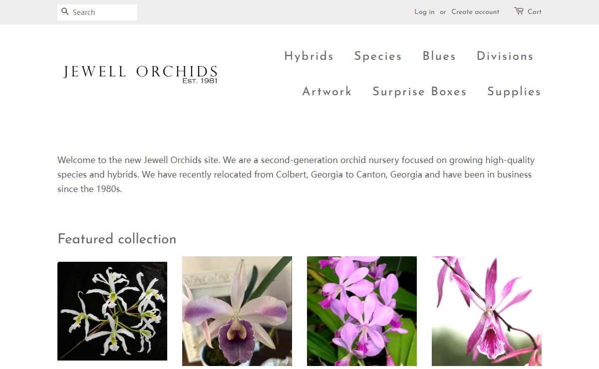 Quality orchids featuring select Cattleyas, coeruleas, and species. – Jewell Orchids