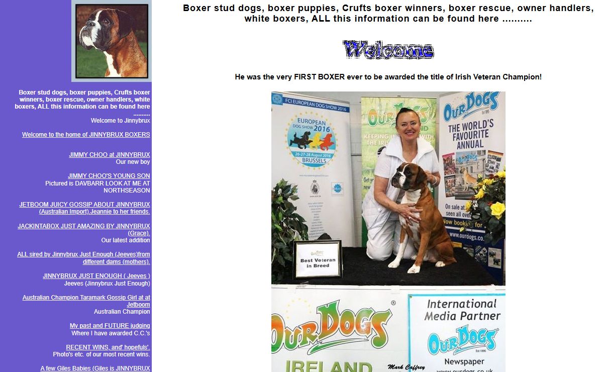Boxer stud dogs, boxer puppies, Crufts boxer winners, boxer rescue, owner handlers, white boxers, ALL this information can be found here ..........
