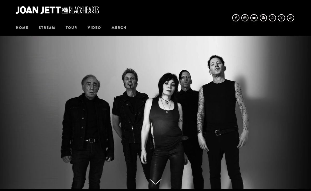 Joan Jett and the Blackhearts