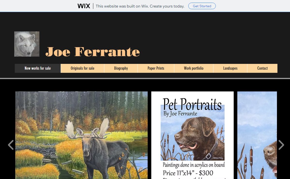 Award winning artist Joe Ferrante