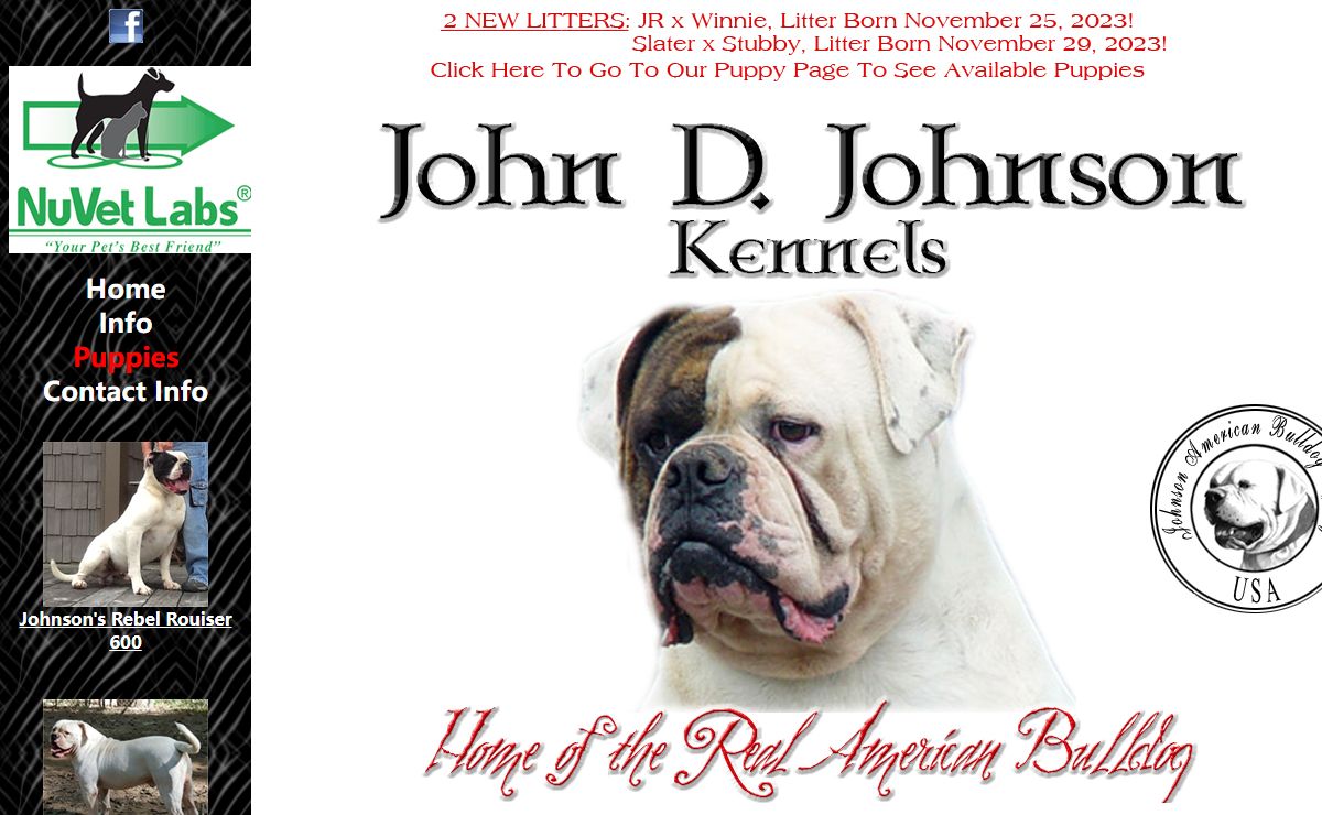 John D. Johnson Kennels - Home of the REAL American Bulldog!