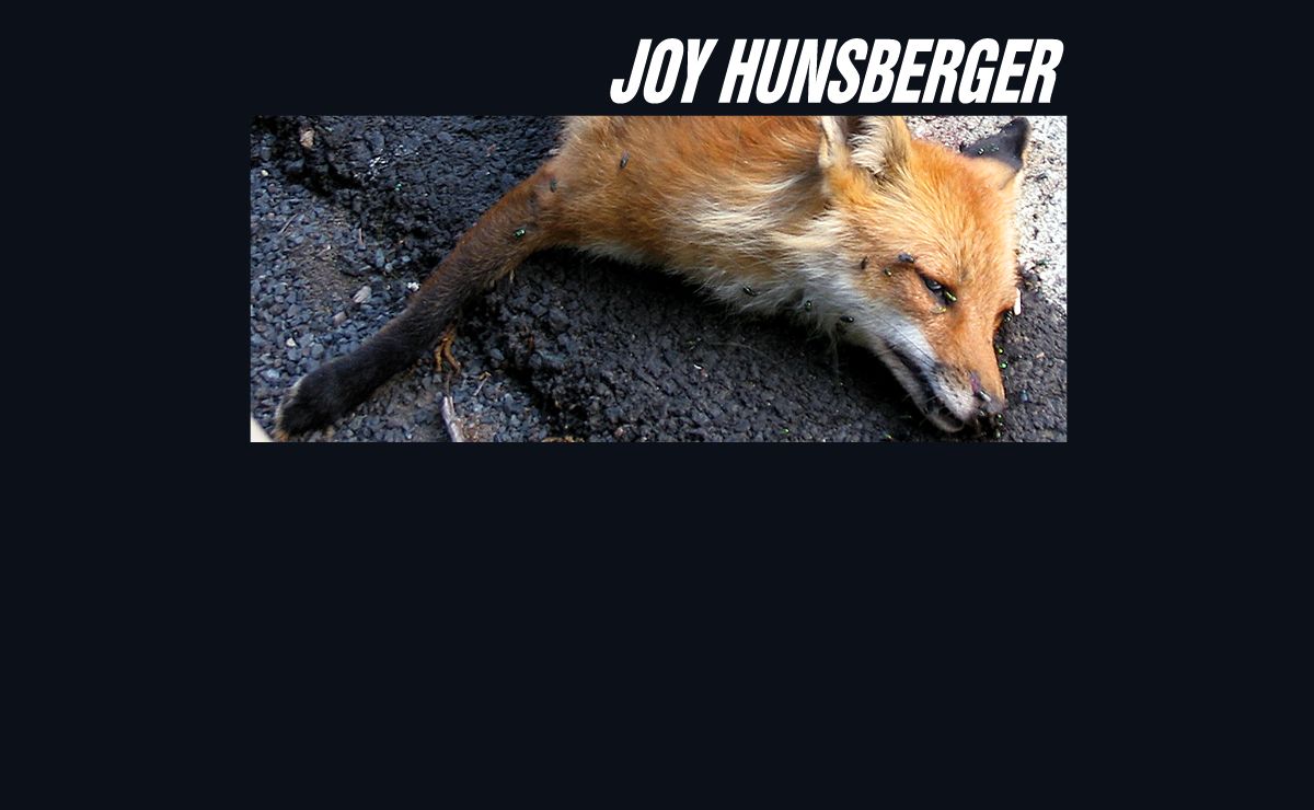 Joy Hunsberger - Artist Portfolio