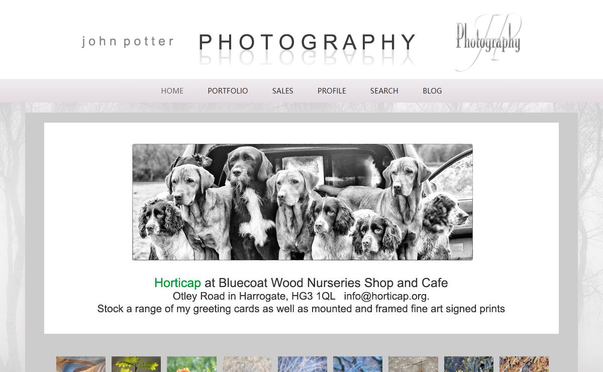 Home: John Potter Photography