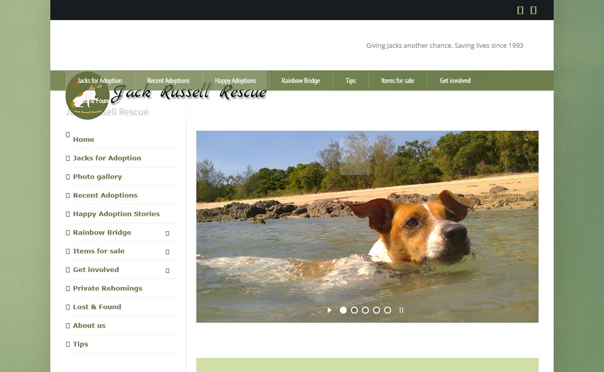 Jack Russell Rescue – Saving Jacks since 1993