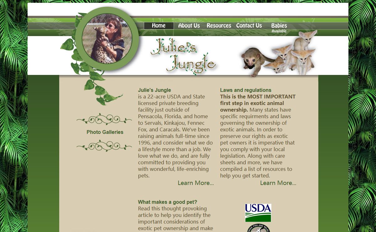 Julies Jungle Home