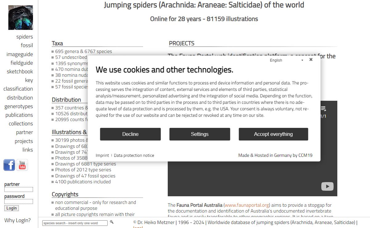 Salticidae :: jumping spiders worldwide database - Dr. Heiko Metzner