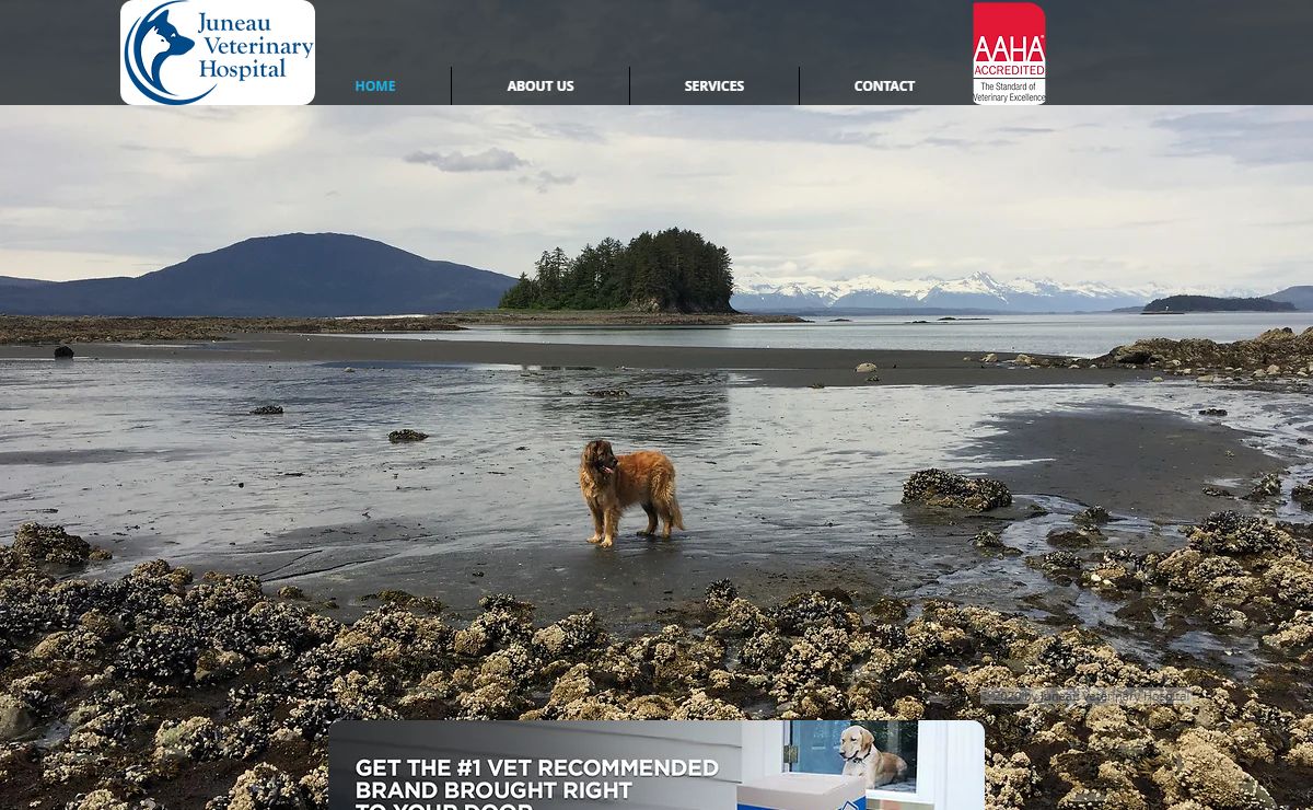 Juneau Veterinary Hospital, Veterinarian Juneau