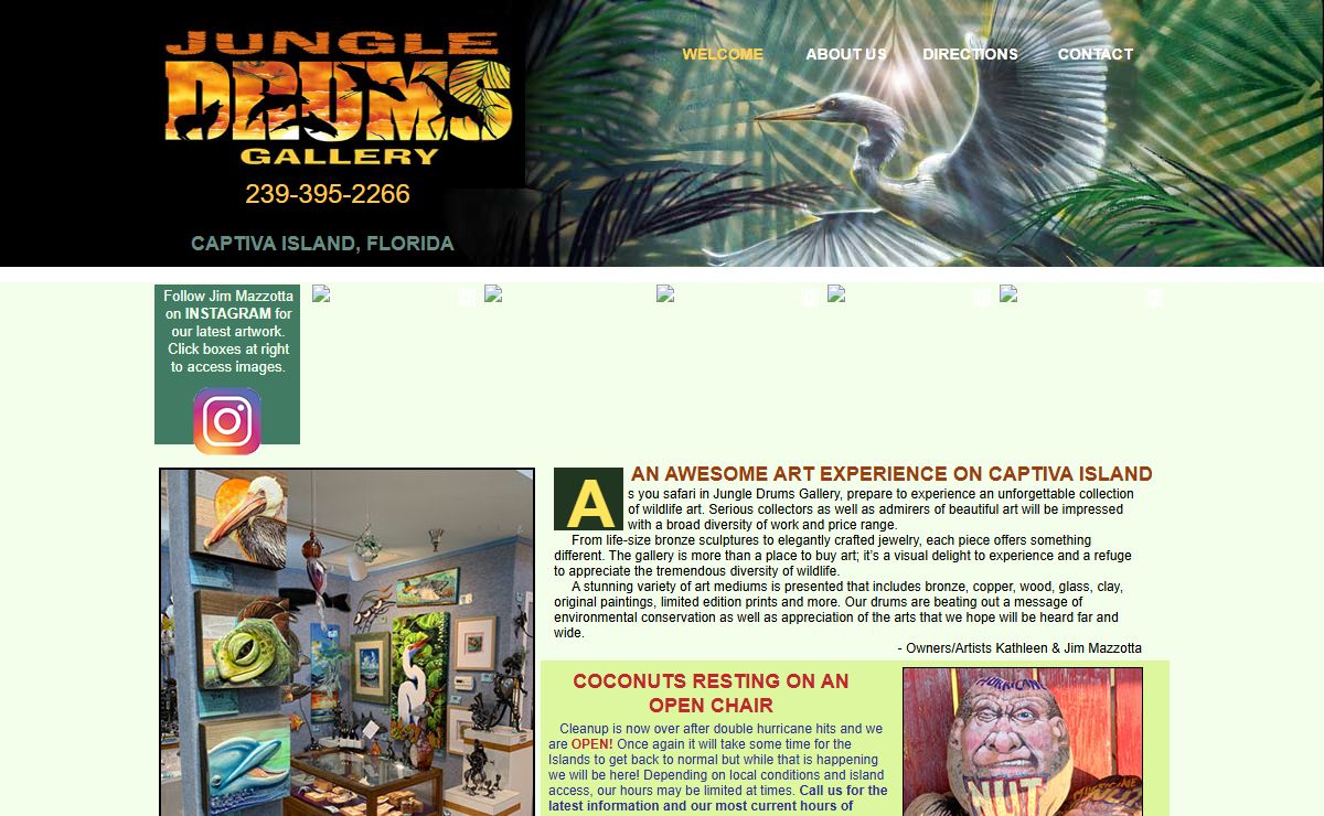 Jungle Drums Gallery Home | Jungle Drums Gallery