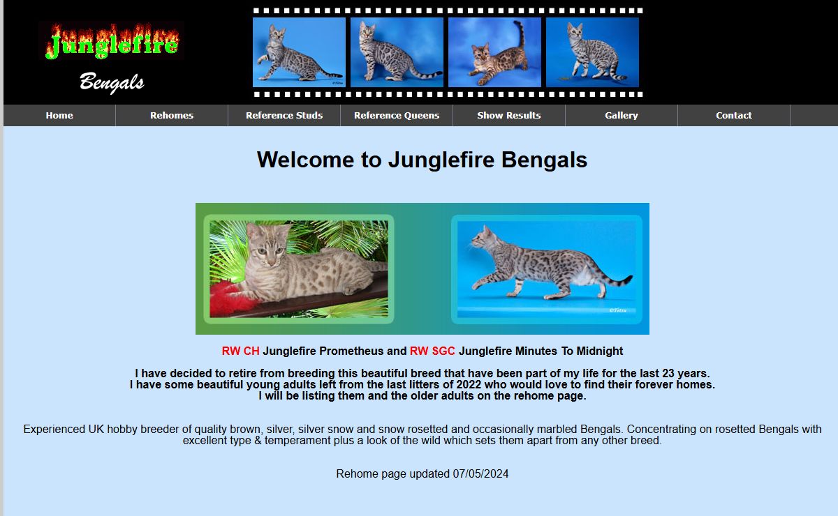 Junglefire Bengals - Breeders of quality rosetted bengal cats and kittens